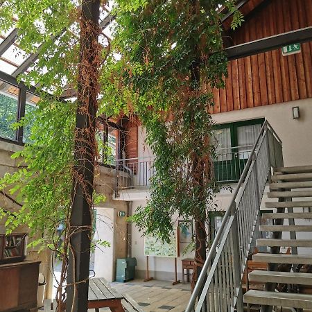 Landhotel Schaferhof Langenstein Экстерьер фото
